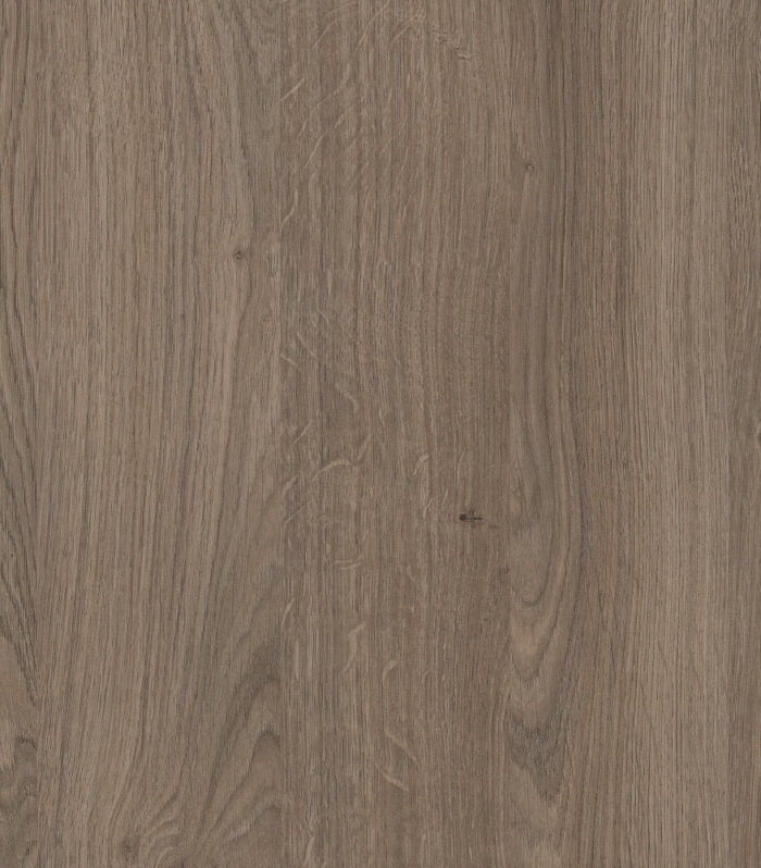 H 1399 ST10 HRAST DENVER TARTUF BRAON